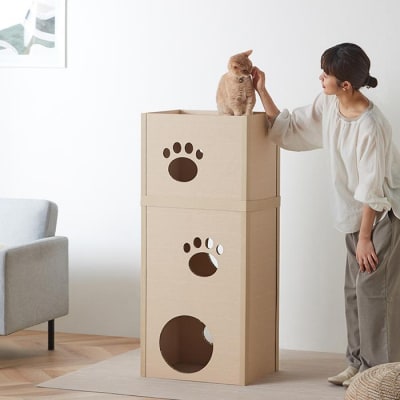 猫　ねこねこタワー　P-NT3