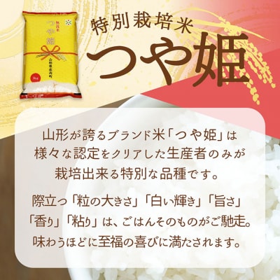 <10月下旬発送>庄内米6か月定期便!つや姫無洗米 6kg(入金期限:2025.9.25)