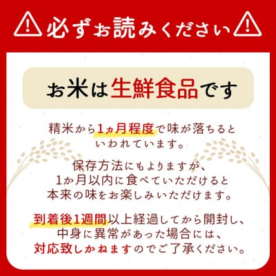 <10月下旬発送>庄内米6か月定期便!つや姫無洗米 6kg(入金期限:2025.9.25)