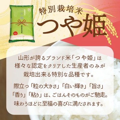 <10月下旬発送>庄内米6か月定期便!つや姫 10kg(入金期限:2025.9.25)