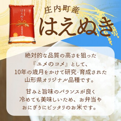 <11月中旬発送>庄内米6か月定期便!はえぬき 10kg(入金期限:2025.10.25)