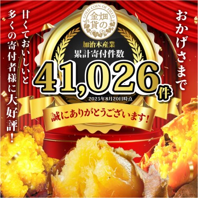 焼き芋安納芋 1kg 焼き芋紅はるか 2kg　K181-001_02