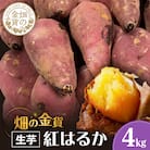 【2025年先行受付】畑の金貨 生芋 紅はるか4kg　K181-006