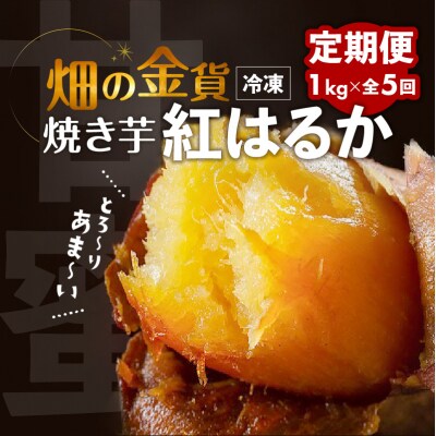【全5回】【畑の金貨】焼き芋紅はるか1kg 定期便　K181-T01