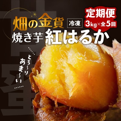 【全5回】【畑の金貨】焼き芋紅はるか3kg 定期便　K181-T02