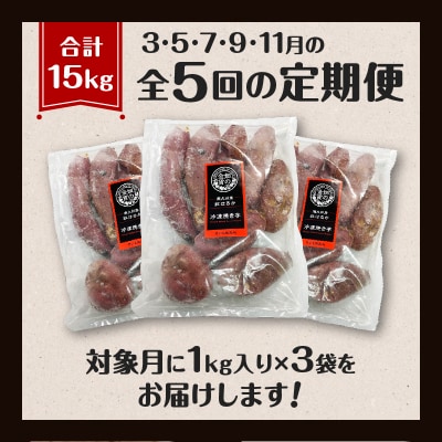 【全5回】【畑の金貨】焼き芋紅はるか3kg 定期便　K181-T02