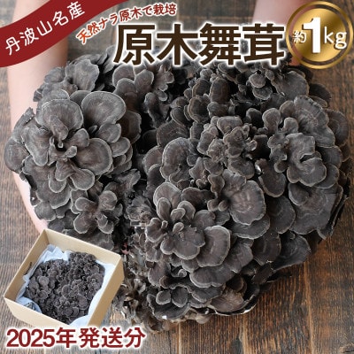 【先行予約】丹波山村産 原木舞茸　約1kg