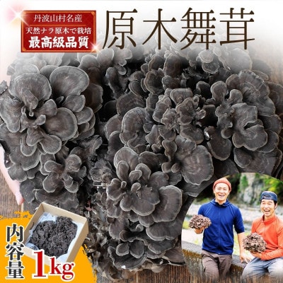 【先行予約】丹波山村産 原木舞茸　約1kg