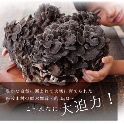 【先行予約】丹波山村産 原木舞茸　約1kg