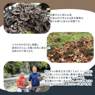 舞茸だし(8g×15袋) 貴重な丹波山村産原木舞茸をふんだんに使用
