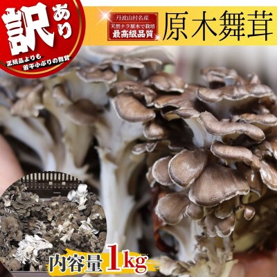 【訳あり】【先行予約】丹波山村産 原木舞茸 約1kg