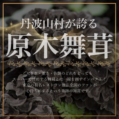 【訳あり】【先行予約】丹波山村産 原木舞茸 約1kg
