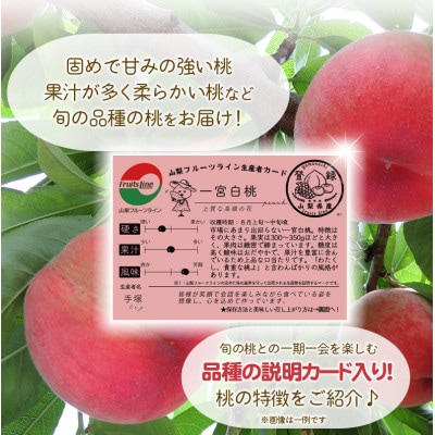 朝もぎ直送!『山梨県産　桃』5～8玉 約2kg規格箱入り 【高機能共選機使用】山梨の桃