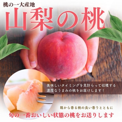 【2026年先行予約】朝もぎ直送!『山梨県産　桃』5～8玉 約2kg規格箱入り