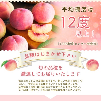 【2026年先行予約】朝もぎ直送!『山梨県産　桃』5～8玉 約2kg規格箱入り