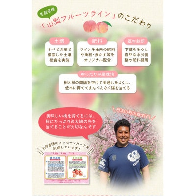 朝もぎ直送!『山梨県産　桃』5～8玉 約2kg規格箱入り 【高機能共選機使用】山梨の桃