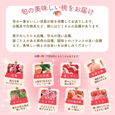 【2026年先行予約】朝もぎ直送!『山梨県産　桃』5～8玉 約2kg規格箱入り
