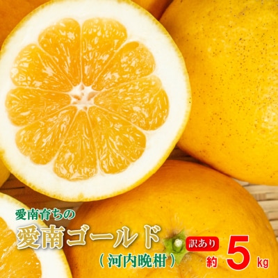 訳あり 愛南ゴールド(河内晩柑) 5kg 柑橘 みかん 傷 不揃い 規格外 常温 愛南町 青果市場