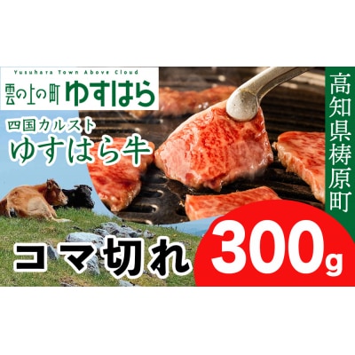 四国カルスト高原で育ったゆすはら牛 コマ切れ 300g