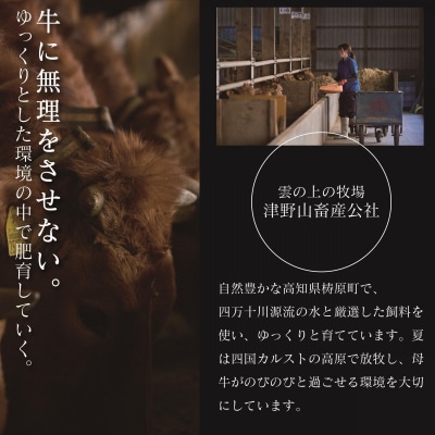 四国カルスト高原で育ったゆすはら牛 コマ切れ 300g