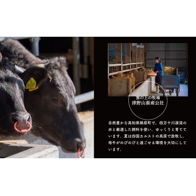 四国カルスト高原で育ったゆすはら牛 コマ切れ 1.5kg