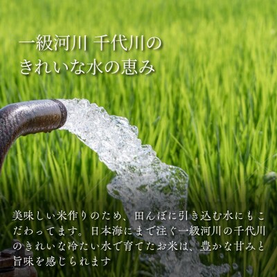 因幡の白兎米 コシヒカリ 令和7年産 精米済 10kg(5kg×2袋)