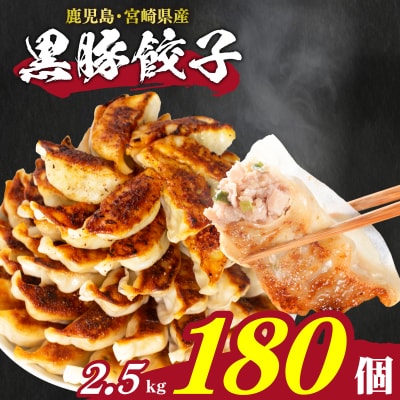 訳あり 黒豚餃子 12粒×15パック(180粒) 国産餃子 冷凍 小分けパック たれ付き IB006