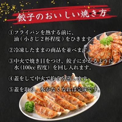 訳あり 黒豚餃子 12粒×15パック(180粒) 国産餃子 冷凍 小分けパック たれ付き IB006
