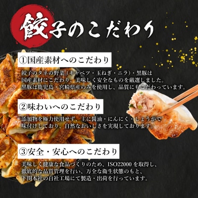 訳あり 黒豚餃子 12粒×15パック(180粒) 国産餃子 冷凍 小分けパック たれ付き IB006