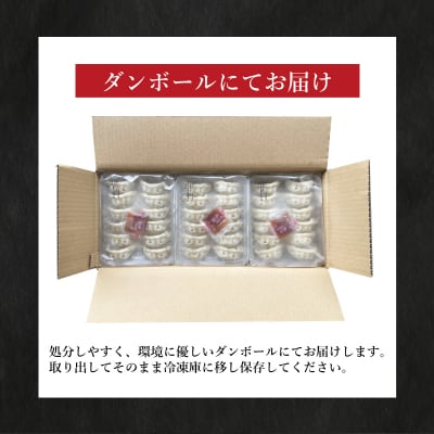 訳あり 黒豚餃子 12粒×15パック(180粒) 国産餃子 冷凍 小分けパック たれ付き IB006