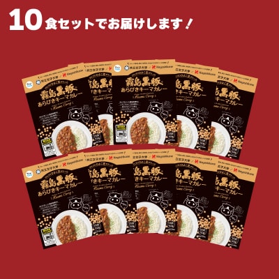 訳あり 霧島黒豚 あらびきキーマカレー 150g×10食 レトルトカレー IR001