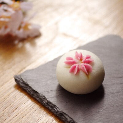 ハヤシカネの春の和菓子詰合せ 4種 40個 お菓子 おやつ デザート スイーツ IR011
