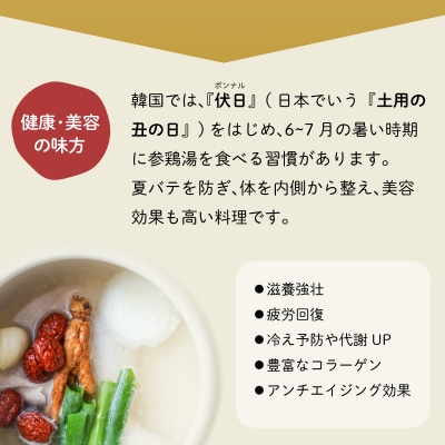 参鶏湯 ( サムゲタン ) 風 スープ 400g×6個 セット HG001