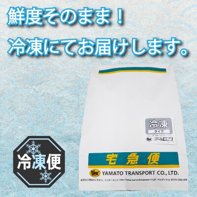 小ふぐ 唐揚げ 1kg 冷凍 シロサバフグ クロサバフグ 揚げる だけ GV001