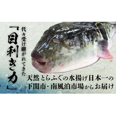 とらふぐ 刺し ふぐ 刺身 計180g 冷凍 真空 下関市 山口 刺し身 鮮魚 BV024
