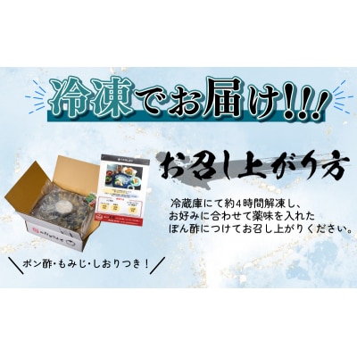 とらふぐ 刺し ふぐ 刺身 計180g 冷凍 真空 下関市 山口 刺し身 鮮魚 BV024