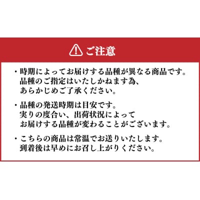 【先行受付】 梨 5kg 8玉 ? 16玉 9月発送 訳あり 下関 山口 KC001-09