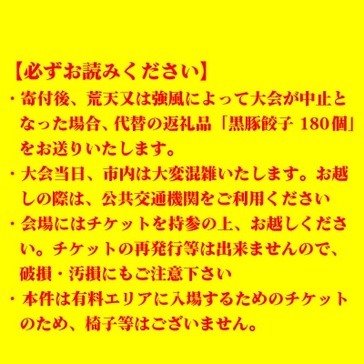 関門海峡花火大会 一般エリア入場券 1名様 花火 大会 旅行 関門 下関 山口 KR001