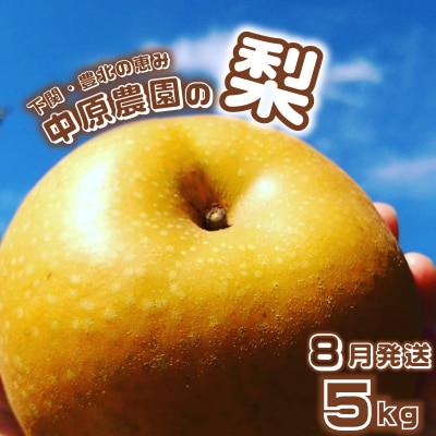 【先行受付】 梨 5kg 8玉 ? 16玉 8月発送 訳あり 下関 山口 KC001-08