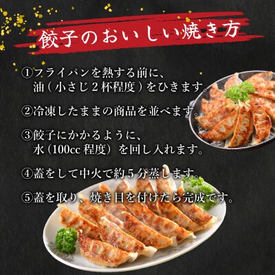 佐賀牛 餃子 72個 ( 12個 × 6パック ) 国産餃子 冷凍 小分けパック 惣菜 IB013