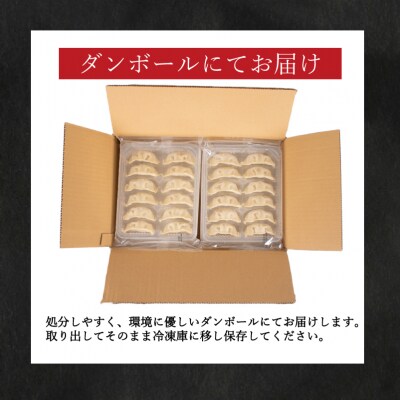 佐賀牛 餃子 72個 ( 12個 × 6パック ) 国産餃子 冷凍 小分けパック 惣菜 IB013