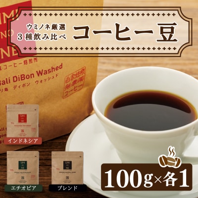 スペシャルティ コーヒー 3種 飲み比べ セット EW001-NT