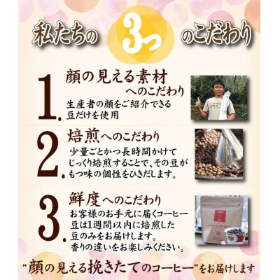 スペシャルティ コーヒー豆セット ブレンド 300g(100g×3袋) EW121