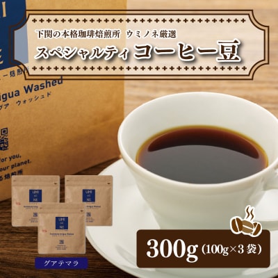 スペシャルティ コーヒー豆セット グアテマラ 300g(100g×3袋) EW122