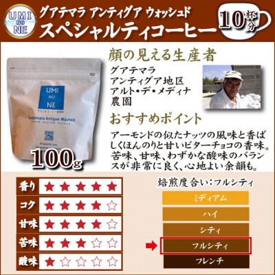 スペシャルティ コーヒー豆セット グアテマラ 300g(100g×3袋) EW122