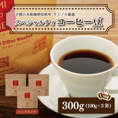 スペシャルティ コーヒー豆セット インドネシア 300g(100g×3袋) EW123