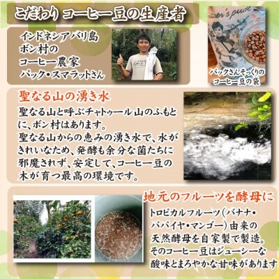 スペシャルティ コーヒー豆セット インドネシア 300g(100g×3袋) EW123
