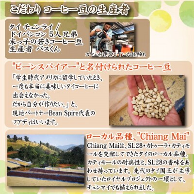 スペシャルティ コーヒー豆セット タイ 300g(100g×3袋) EW124