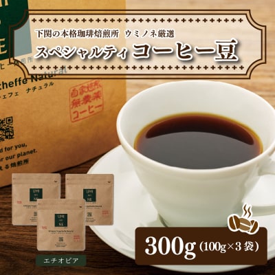 スペシャルティ コーヒー豆セット エチオピア 300g(100g×3袋) EW125