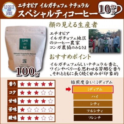 スペシャルティ コーヒー豆セット エチオピア 300g(100g×3袋) EW125